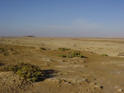 Maroc - Environs de Laayoune