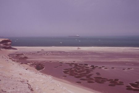 Mauritanie - Environs de Nouadhibou La cote atlantique LeCapBlanc