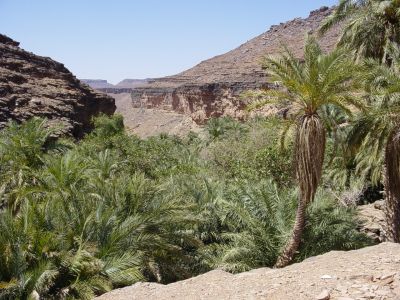 Mauritanie - Environs de Akjoujt