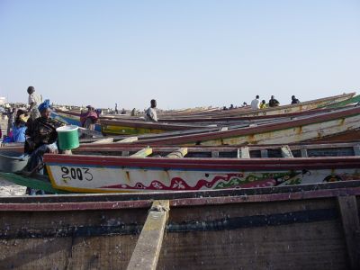 Mauritanie - Nouakchott Marche aux poissons