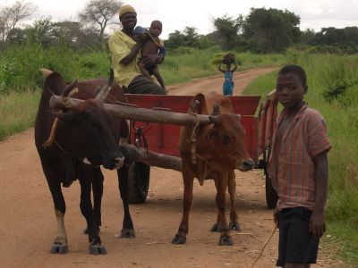 MALAWI