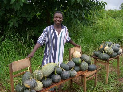 Au bord de la route - MALAWI