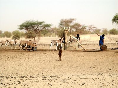 Mali - Environs Tombouctou