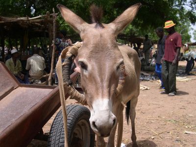 005131 BURKINA