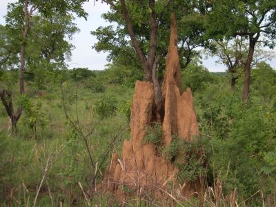 006041 GHANA