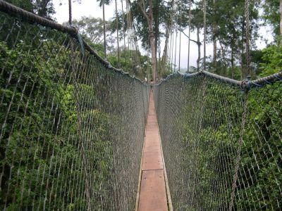 Pont suspendu - GHANA