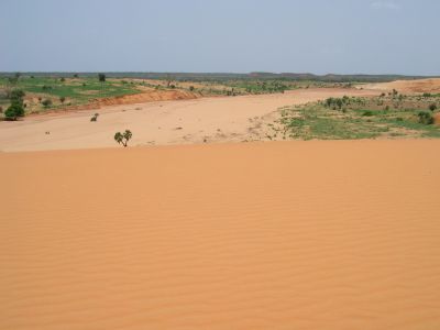 009028 NIGER