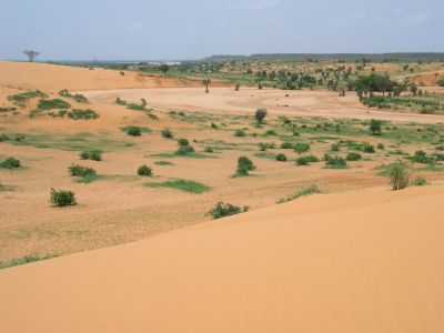 009030 NIGER