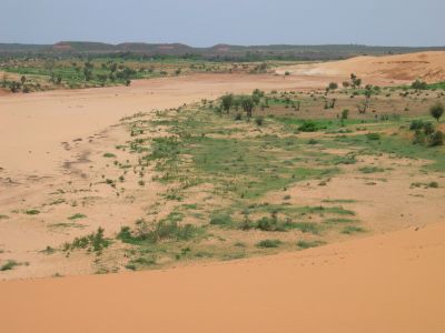 009031 NIGER