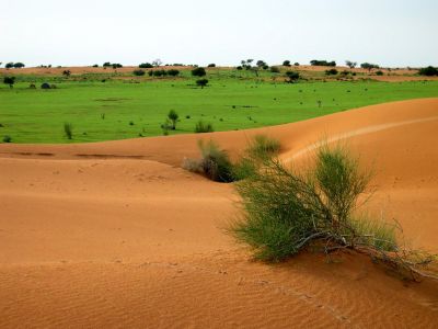 Saison des pluies - NIGER