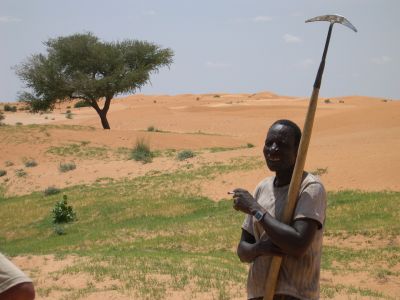 Avec la saison des pluies, il faut sarcler -NIGER