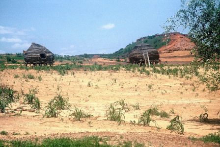 Grenier à nourriture - NIGER