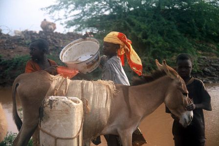 La corvée d'eau - NIGER