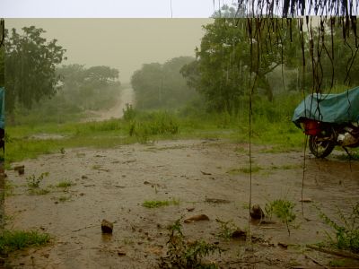 Cameroun - Environs de Tibati La pluie