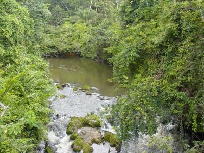 Gabon - Environs de Sam