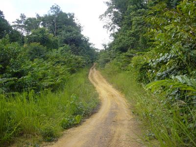 Gabon - Direction Libreville la piste