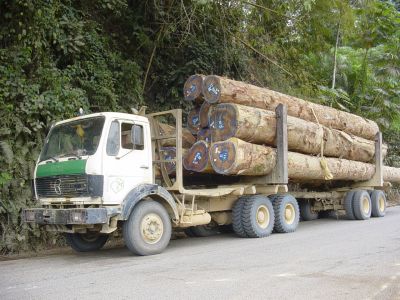 Congo - Direction Franceville Grumier