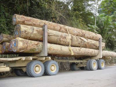 Congo - Direction Franceville Grumier