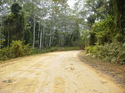 Congo - Direction Franceville la piste