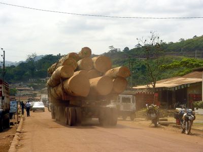 Congo - Lastourville grumier