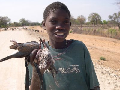 Au lance pierre, ANGOLA