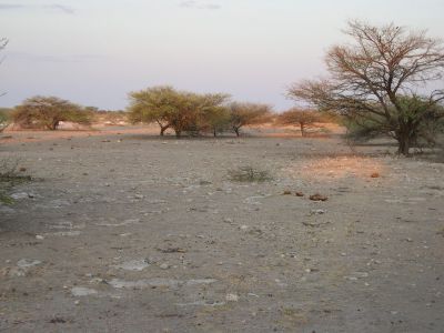 016030 NAMIBIE