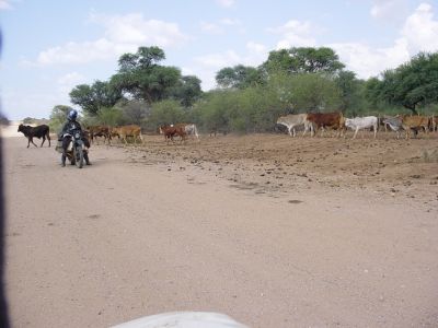 Namibie - sur la piste