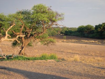 016167 NAMIBIE