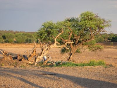 016168 NAMIBIE