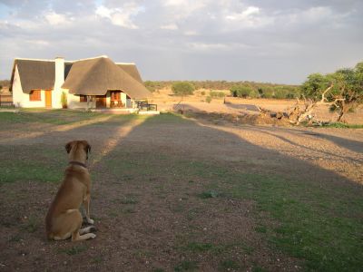 016170 NAMIBIE