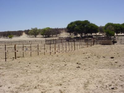 Namibie - sur la piste vers Windhoek