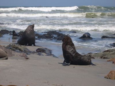 016300 NAMIBIE