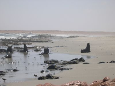 016321 NAMIBIE