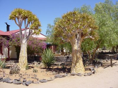 Namibie - sur la piste de Fish River Canyon