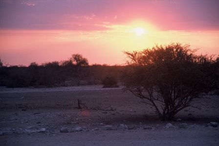 016662 NAMIBIE