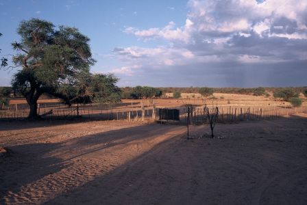 016665 NAMIBIE