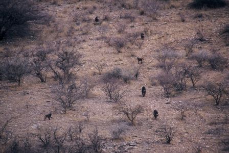 016669 NAMIBIE