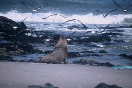 016676 NAMIBIE