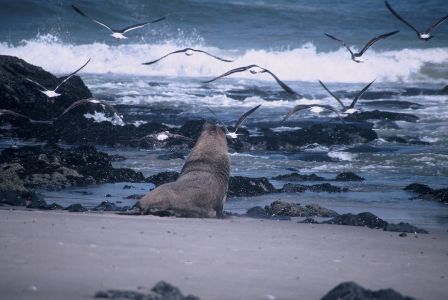 NAMIBIE