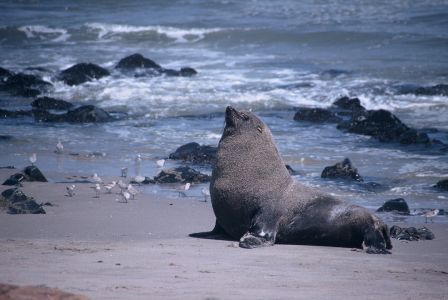 016679 NAMIBIE