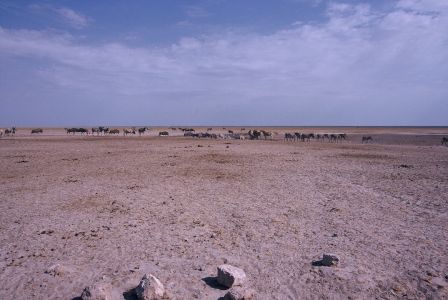 016707 NAMIBIE