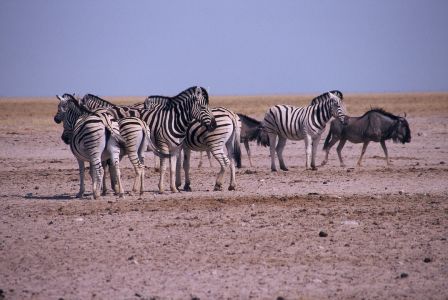 016708 NAMIBIE