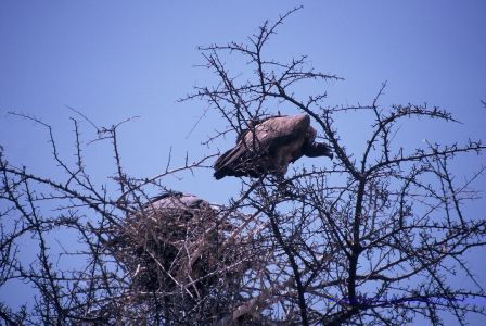 016728 NAMIBIE