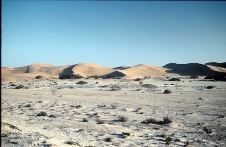 016800 NAMIBIE