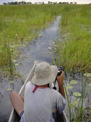 Botswana - Okavango Delta