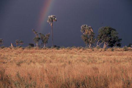 OKAVANGO