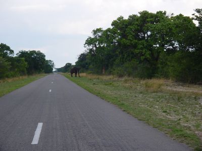 Zimbabwe - direction Victoria Falls