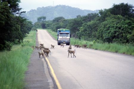 Sur le route - TANZANIE