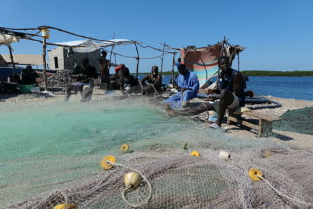 Sine Saloum - Senegal