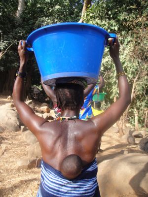 Corvée d'eau, le puit est dans la vallée à 1km du village - SENEGAL